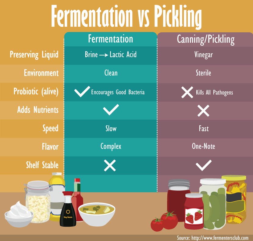 The Benefits of Fermented Foods