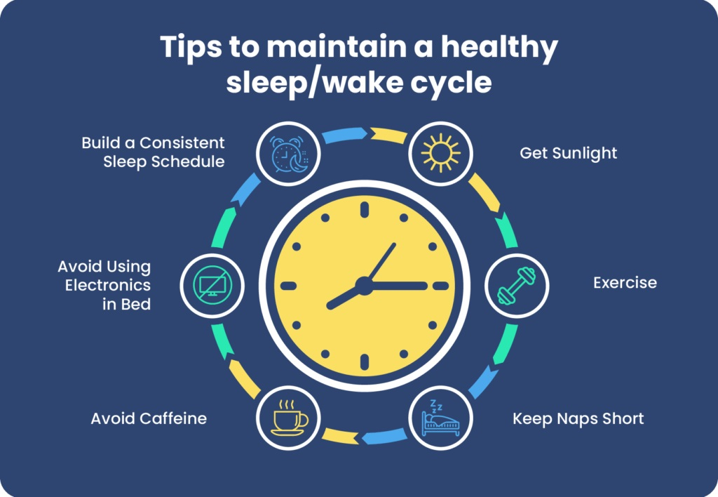 Understanding the Circadian Rhythm: A Comprehensive Overview