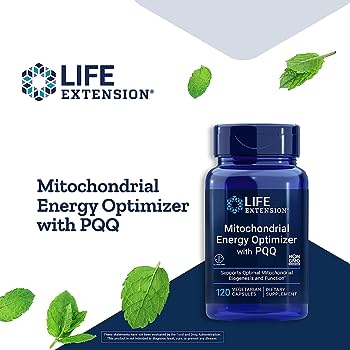 Unlocking the Power Within: Mitochondrial Optimization